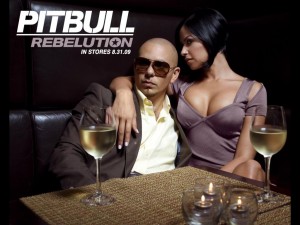 Wallpaper – Pitbull